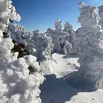 Charmante Maison Au Coeur D'un Village Auvergnat Semesterbostad *