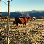 Charmante Maison Au Coeur D'un Village Auvergnat Semesterbostad