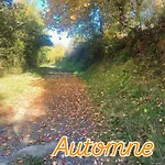 Charmante Maison Au Coeur D'un Village Auvergnat * Saint-Diery