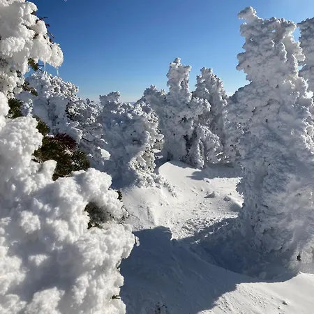 Charmante Maison Au Coeur D'un Village Auvergnat Prázdninový dům *