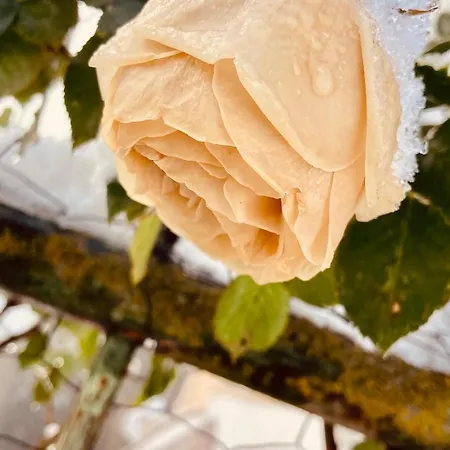 Charmante Maison Au Coeur D'un Village Auvergnat