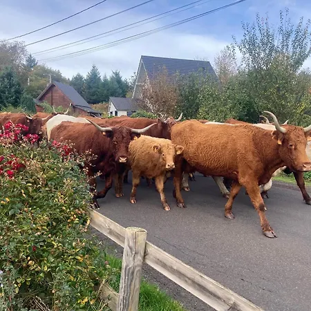 Prázdninový dům Charmante Maison Au Coeur D'un Village Auvergnat Saint-Diery