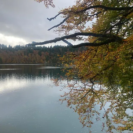 Charmante Maison Au Coeur D'un Village Auvergnat Prázdninový dům Saint-Diery