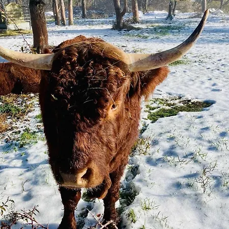 Charmante Maison Au Coeur D'un Village Auvergnat