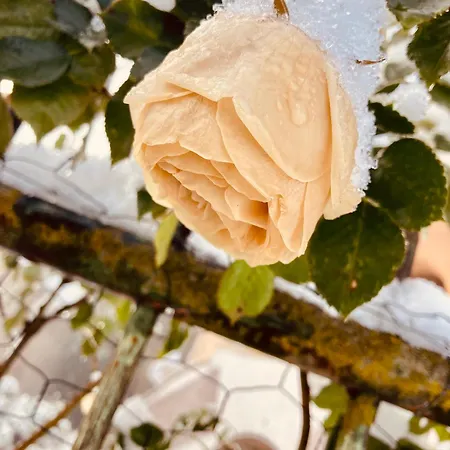 Charmante Maison Au Coeur D'un Village Auvergnat Prázdninový dům