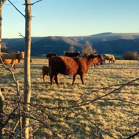 Charmante Maison Au Coeur D'un Village Auvergnat Nyaraló