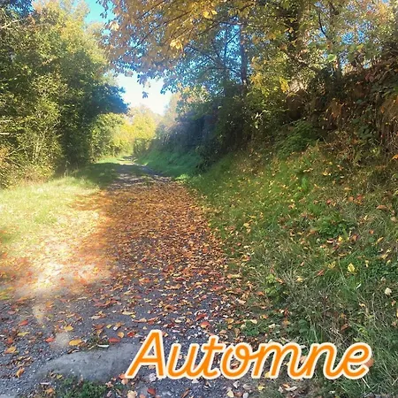 Charmante Maison Au Coeur D'un Village Auvergnat * Saint-Diery