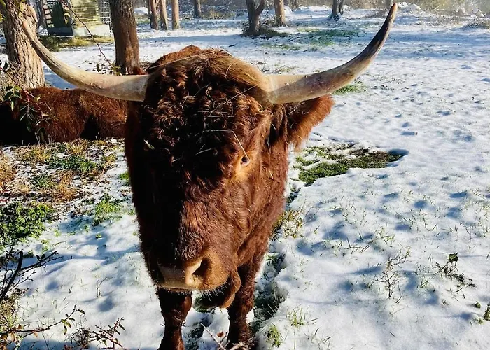 Feriehus Charmante Maison Au Coeur D'un Village Auvergnat Saint-Diery
