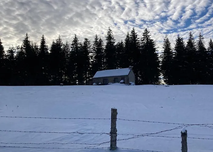 Charmante Maison Au Coeur D'un Village Auvergnat