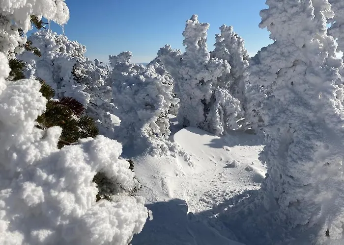 Charmante Maison Au Coeur D'un Village Auvergnat Feriehus *