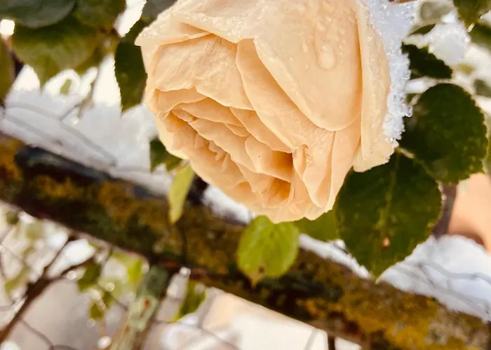 Charmante Maison Au Coeur D'un Village Auvergnat