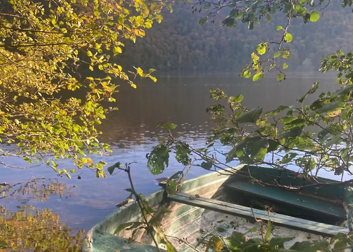 Feriehus Charmante Maison Au Coeur D'un Village Auvergnat *