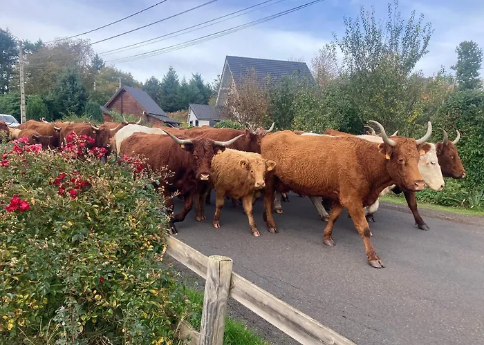 Feriehus Charmante Maison Au Coeur D'un Village Auvergnat Saint-Diery