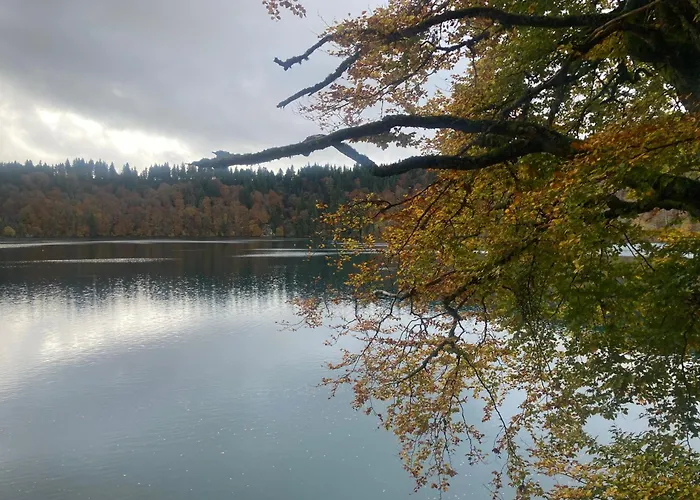 Charmante Maison Au Coeur D'un Village Auvergnat Feriehus Saint-Diery