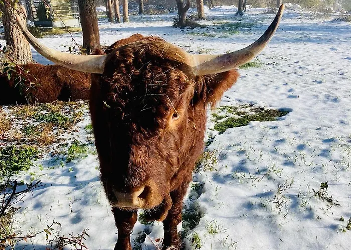 Charmante Maison Au Coeur D'un Village Auvergnat