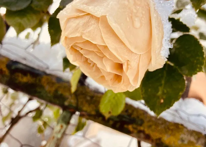 Charmante Maison Au Coeur D'un Village Auvergnat Feriehus