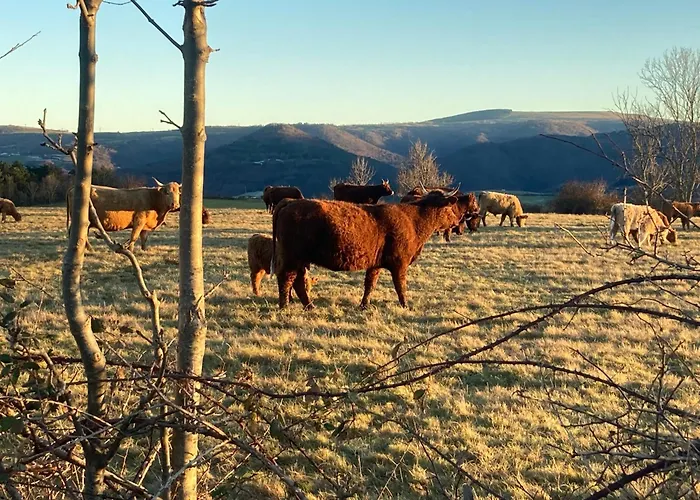 Charmante Maison Au Coeur D'un Village Auvergnat Feriehus